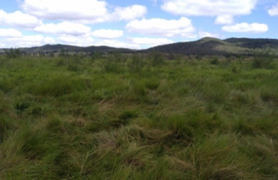 Fazenda para venda em Diamantina